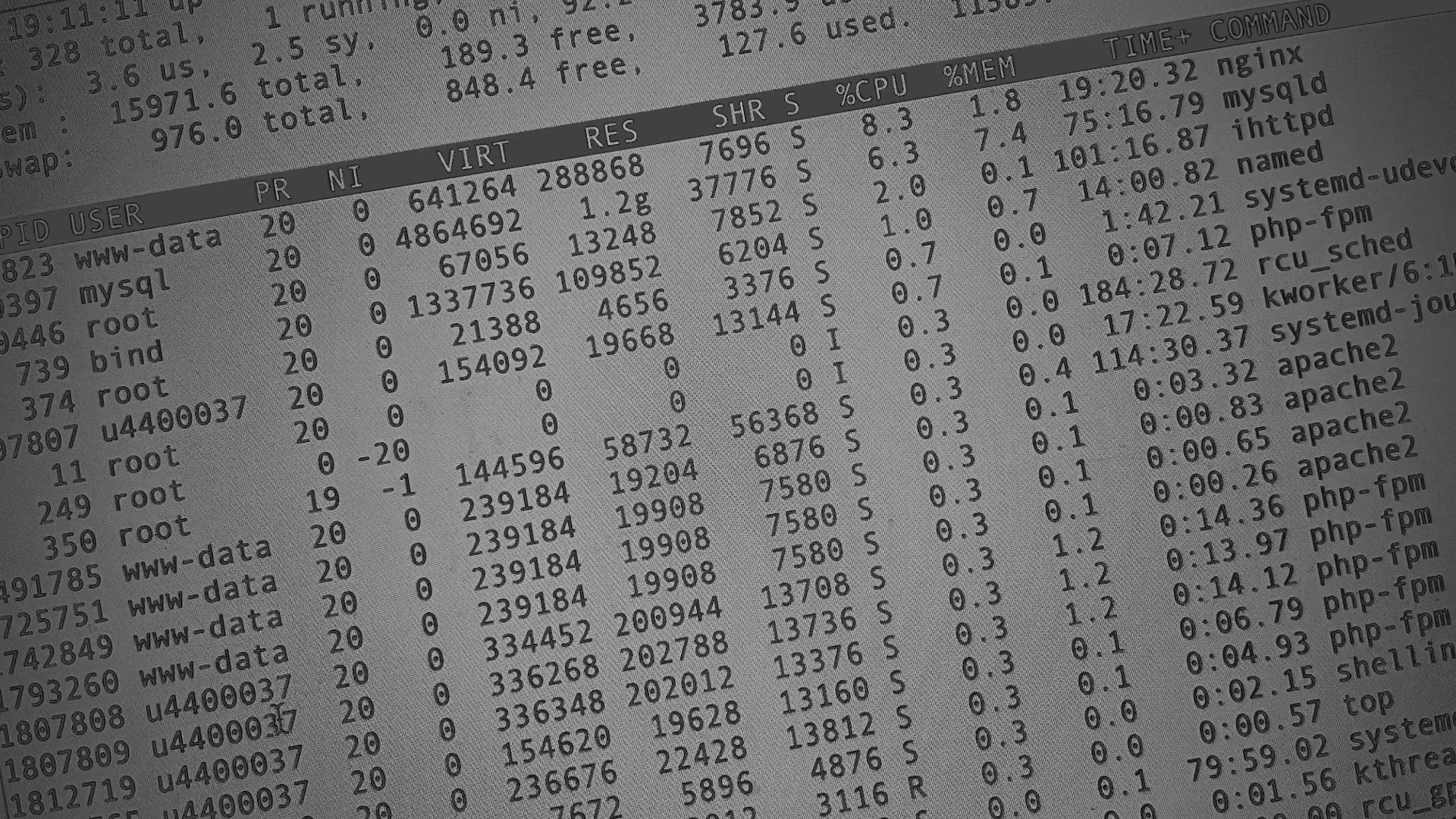 Настройка сервера в Мышкине